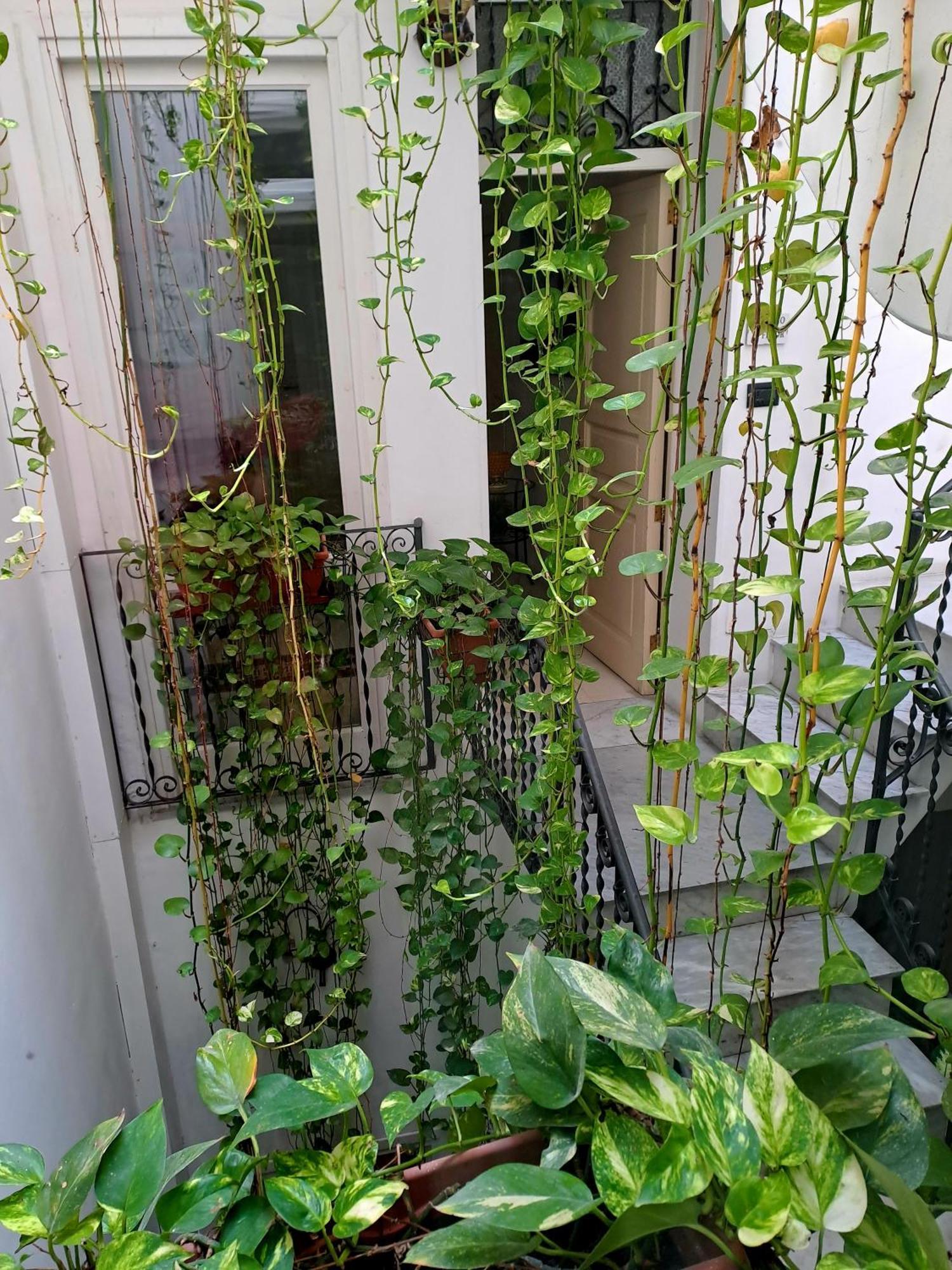 Ai Tintori Bed & Breakfast Palermo Bagian luar foto